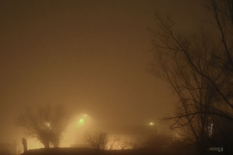 Luz en la niebla .jpg